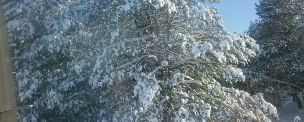 
            Фотография Кузьмина