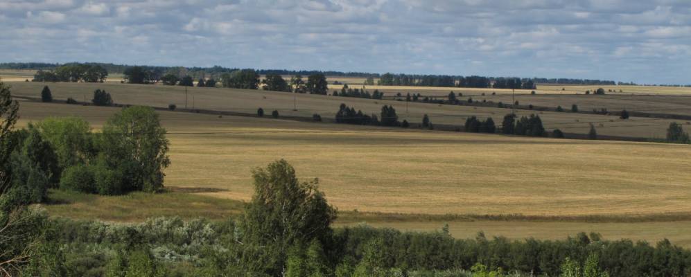 
            Фотография Доряны