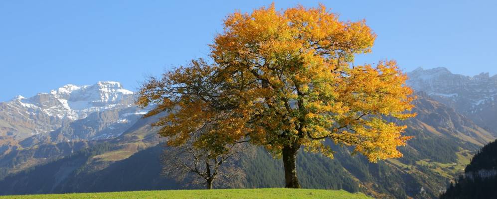 
            Фотография Унтершехена