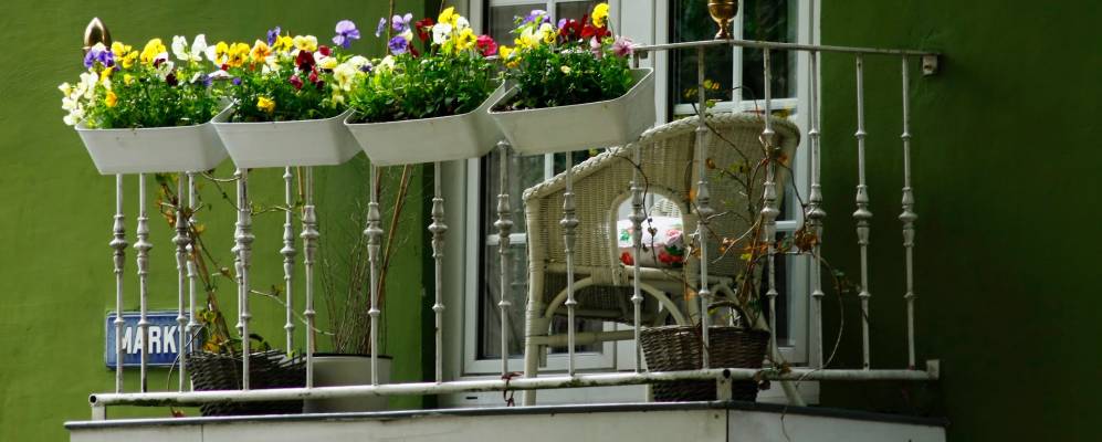 
            Фотография Дусбурга