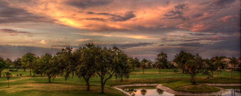 
            Фотография Тексты