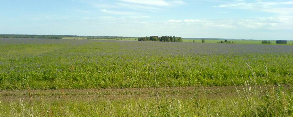 
            Фотография Шевнино