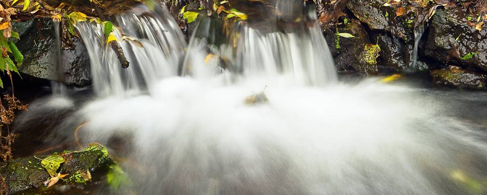 Фотография Мишенево