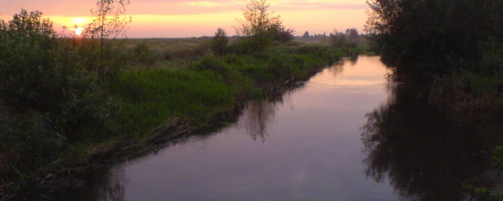 
            Фотография Рудки