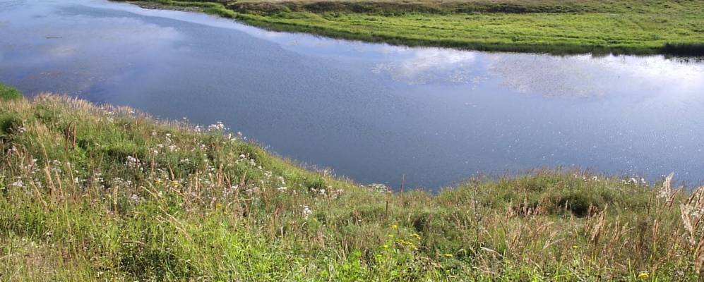 Фотография Молоково