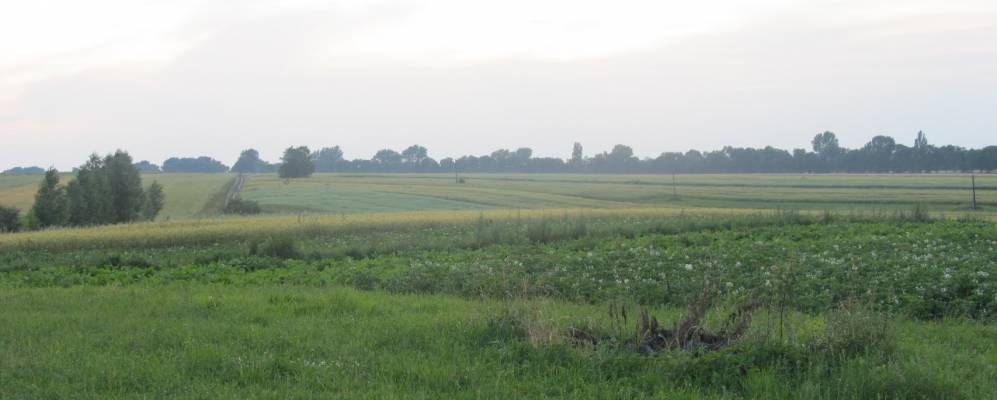 
            Фотография Клопота