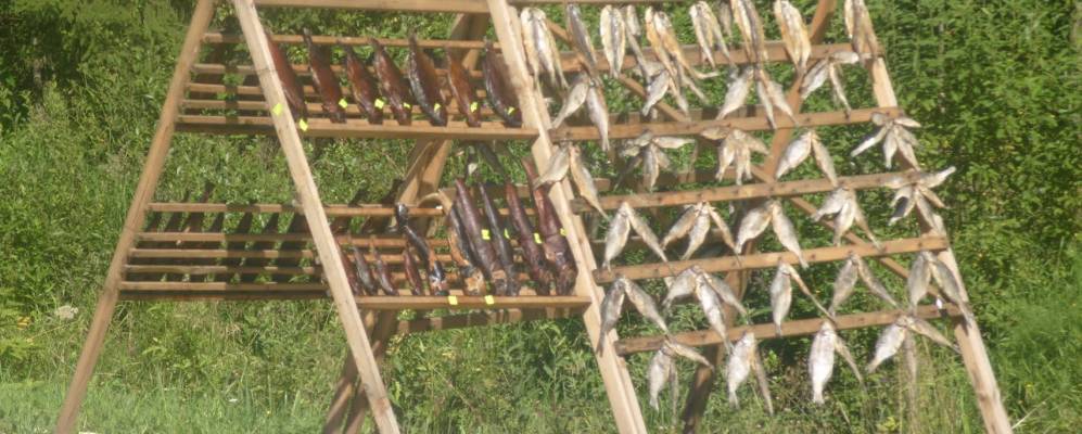 
            Фотография Хмельничного