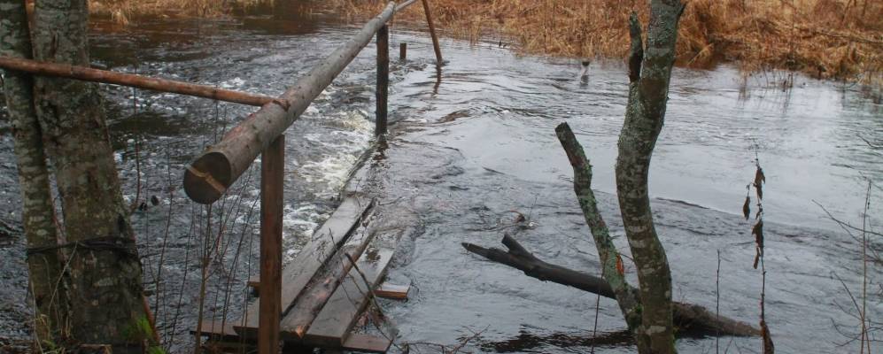 Фотография Чадково