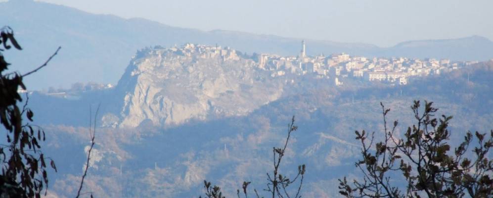 Фотография Джессопалены