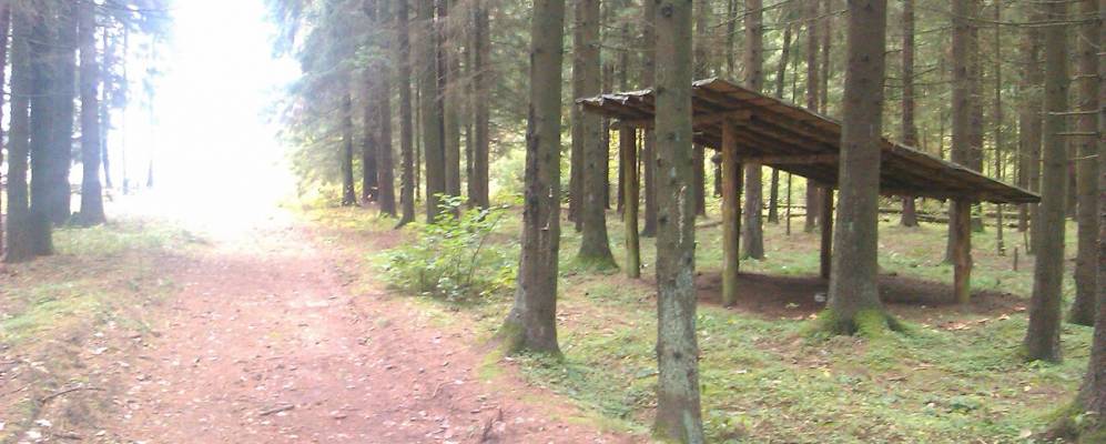 Фотография Городища