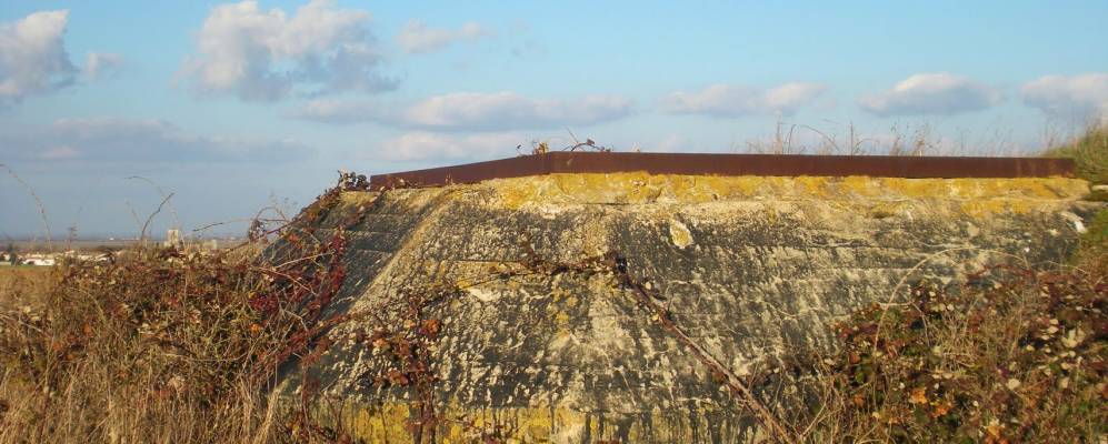 
            Фотография Марсийи