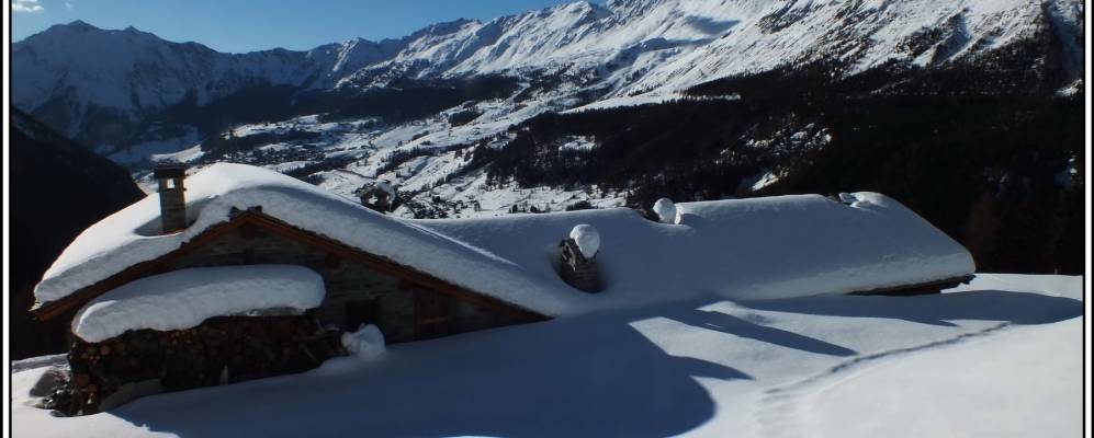 
            Фотография Шамполюка