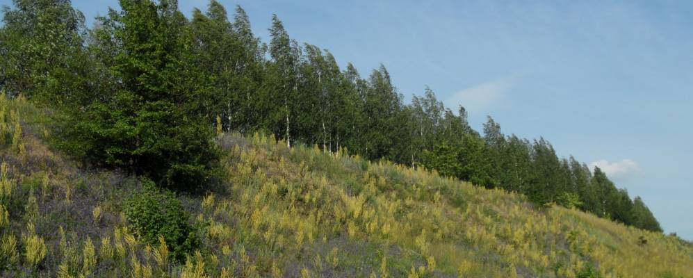 Фотография Курьянова