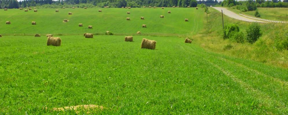 Фотография Плосково