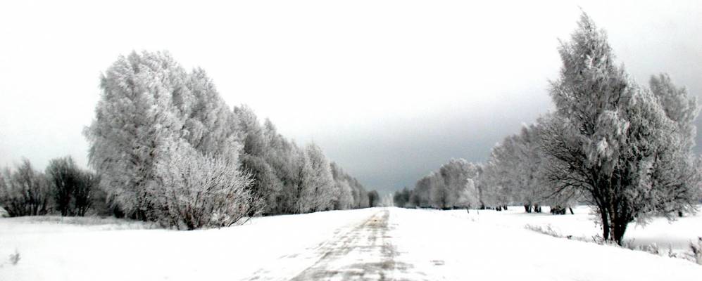 Фотография Притыки