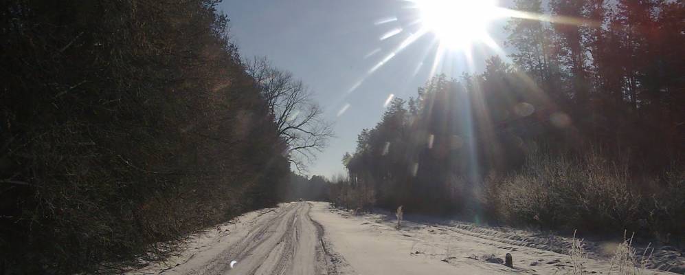 
            Фотография Нежинского