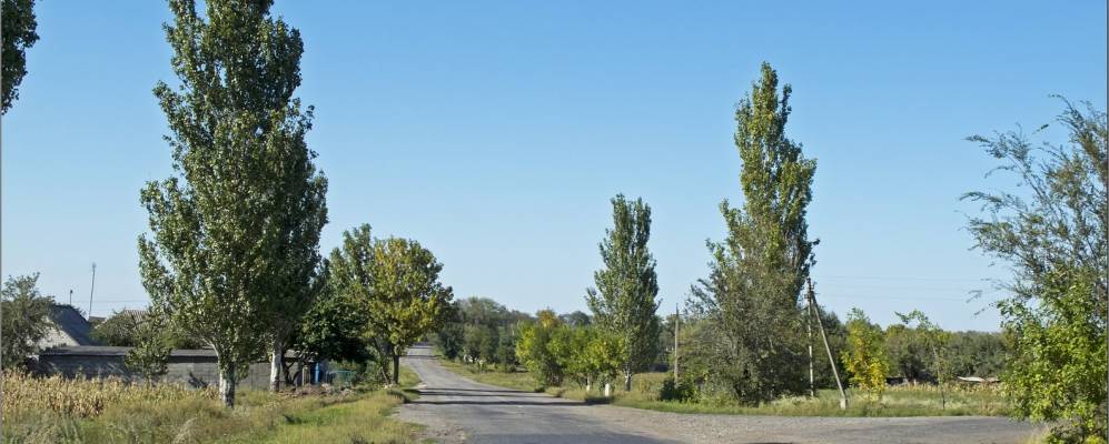 
            Фотография Садового