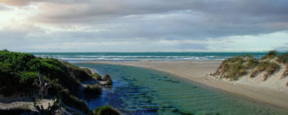 
            Фотография Торре Киянки