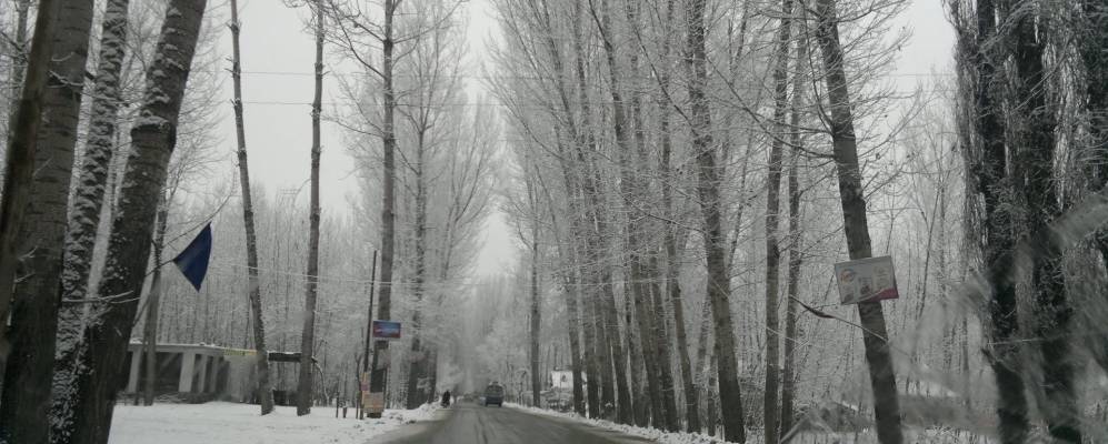 
            Фотография Биджбиары