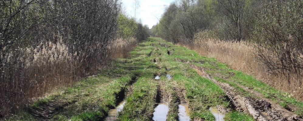 Фотография Ефремово