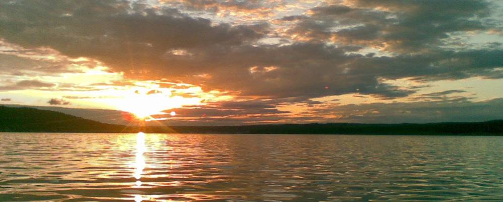 
            Фотография Пеньков