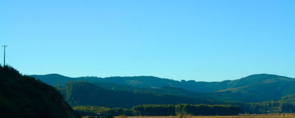 
            Фотография Коронель