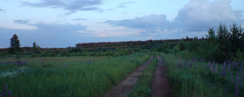 
            Фотография Васильца