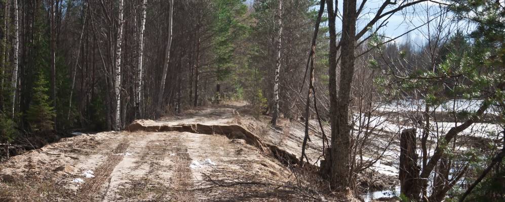 Фотография Антропово