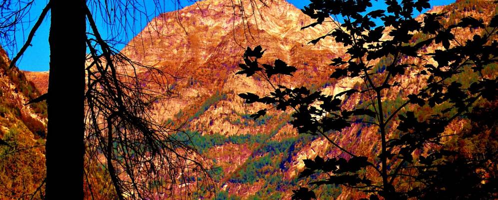 Фотография Фраско