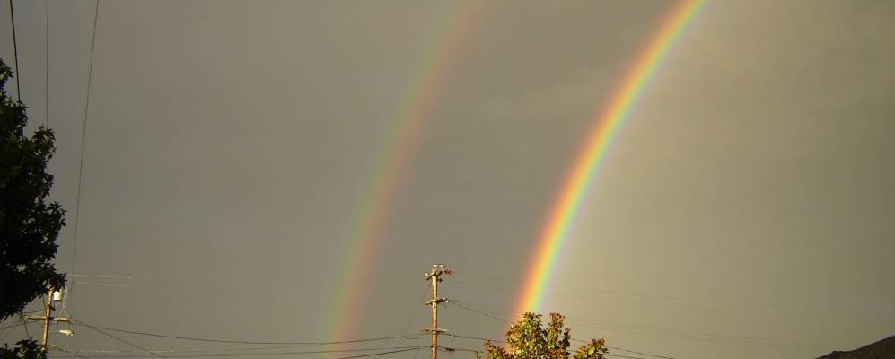 
            Фотография Амести