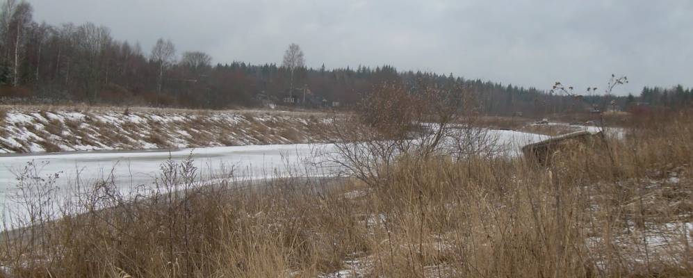 
            Фотография Хаймино