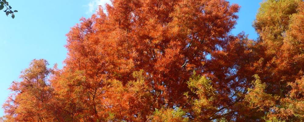 
            Фотография Эпувиля