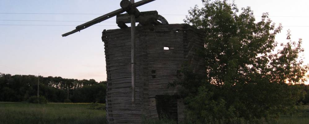 
            Фотография Должика