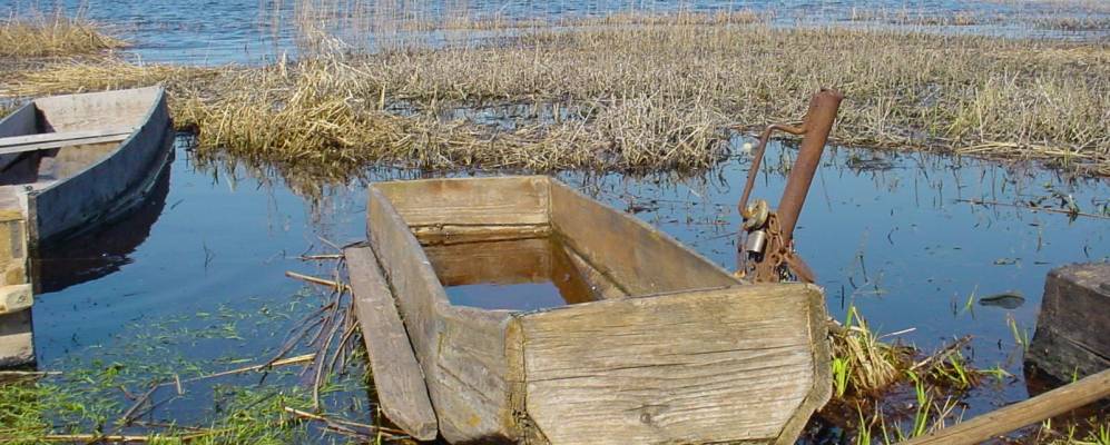 
            Фотография Кушелы