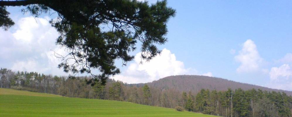 
            Фотография Рошенца