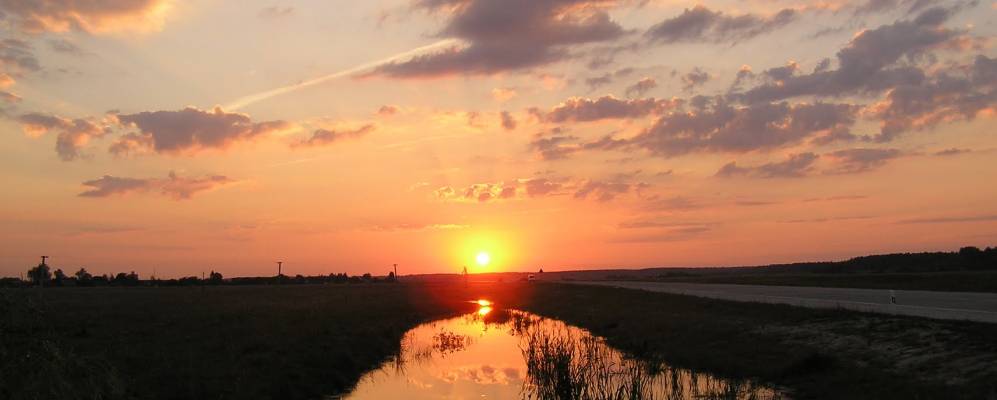 
            Фотография Сокорики