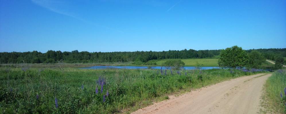 
            Фотография Щелкуново