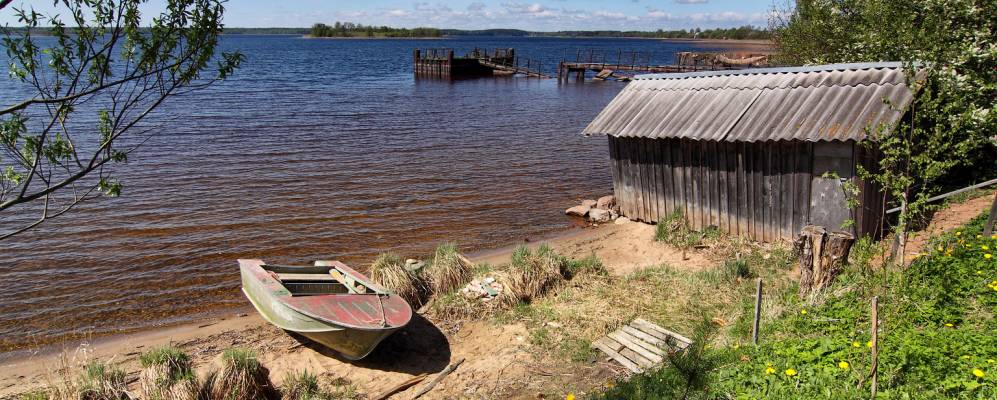 
            Фотография Козино