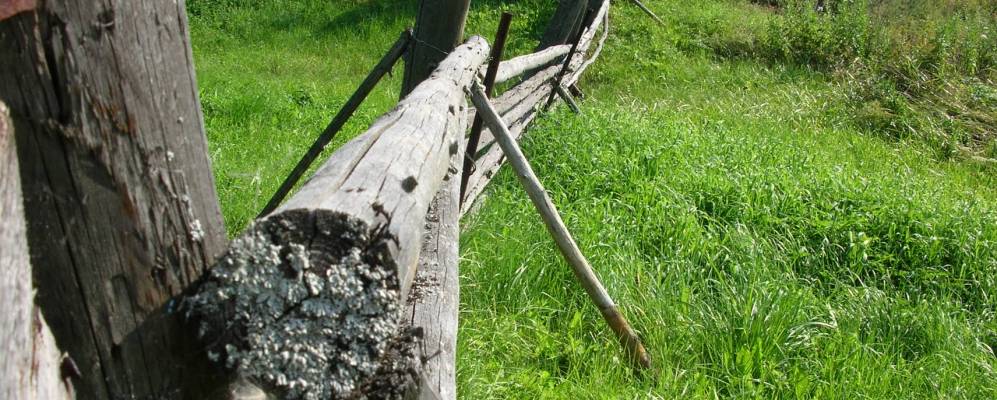 
            Фотография Острецово