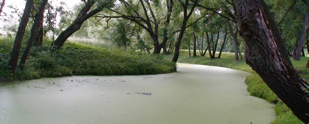 
            Фотография Алексеевки