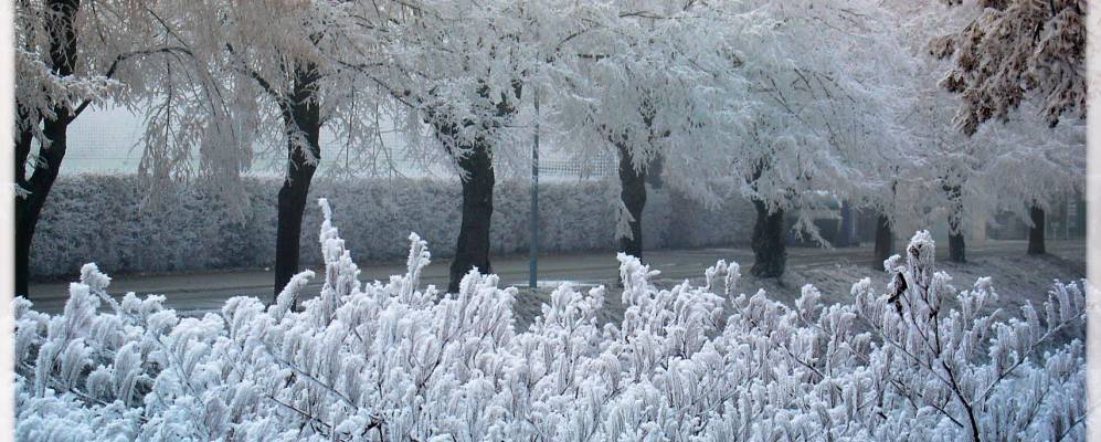 Фотография Вальбах