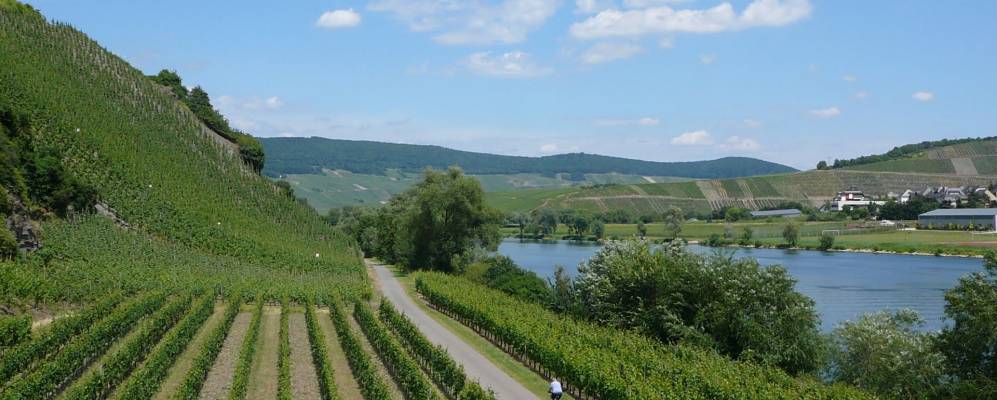 
            Фотография Ноймаген-Дрона