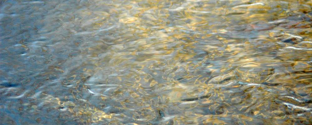 
            Фотография Большой Вруды