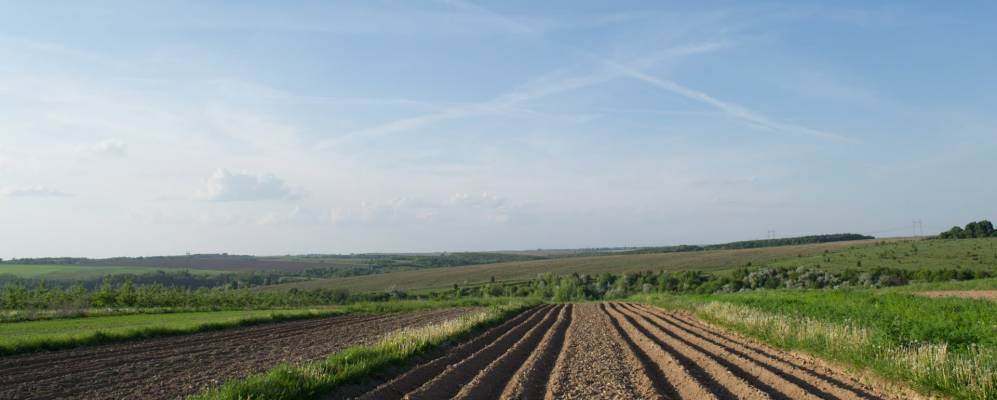 
            Фотография Калюсика