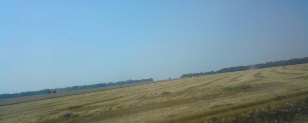 
            Фотография Лещан