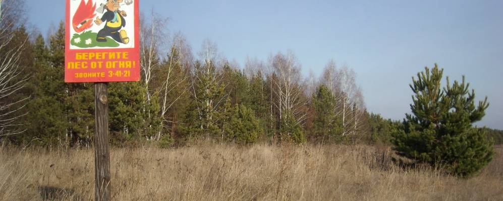 
            Фотография Чернавки