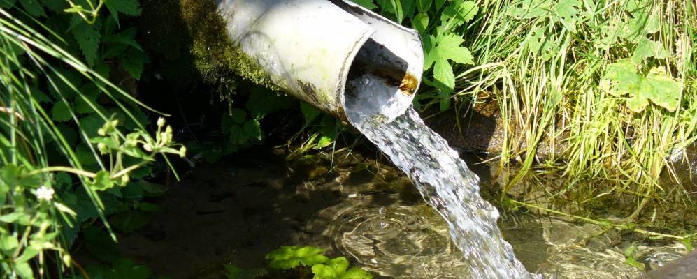 
            Фотография Лопуховки