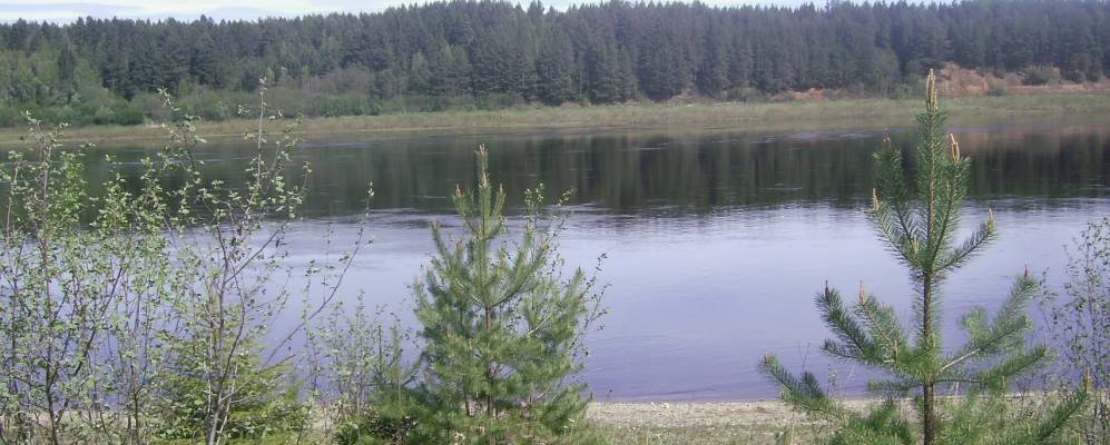 
            Фотография Мусино