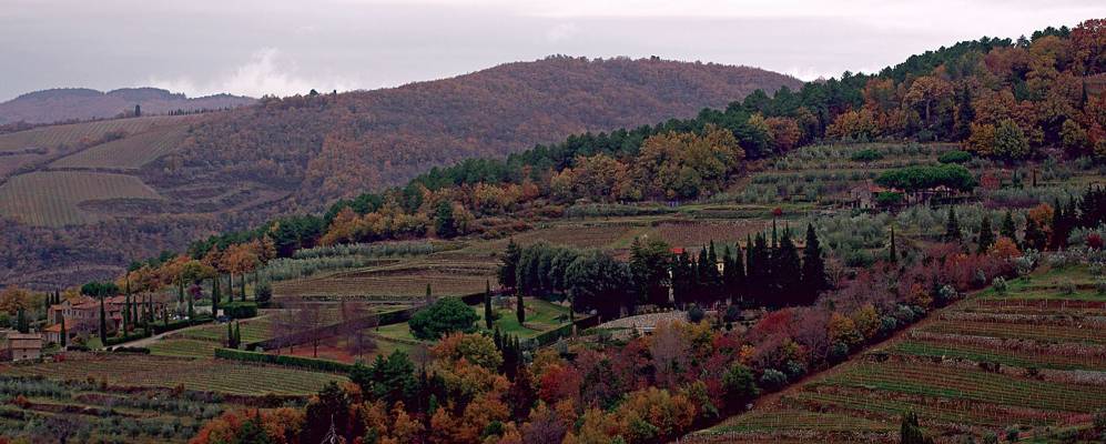 
            Фотография Ламоле