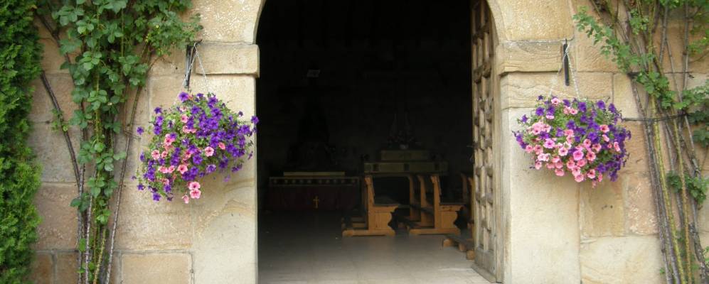 
            Фотография Коваледы